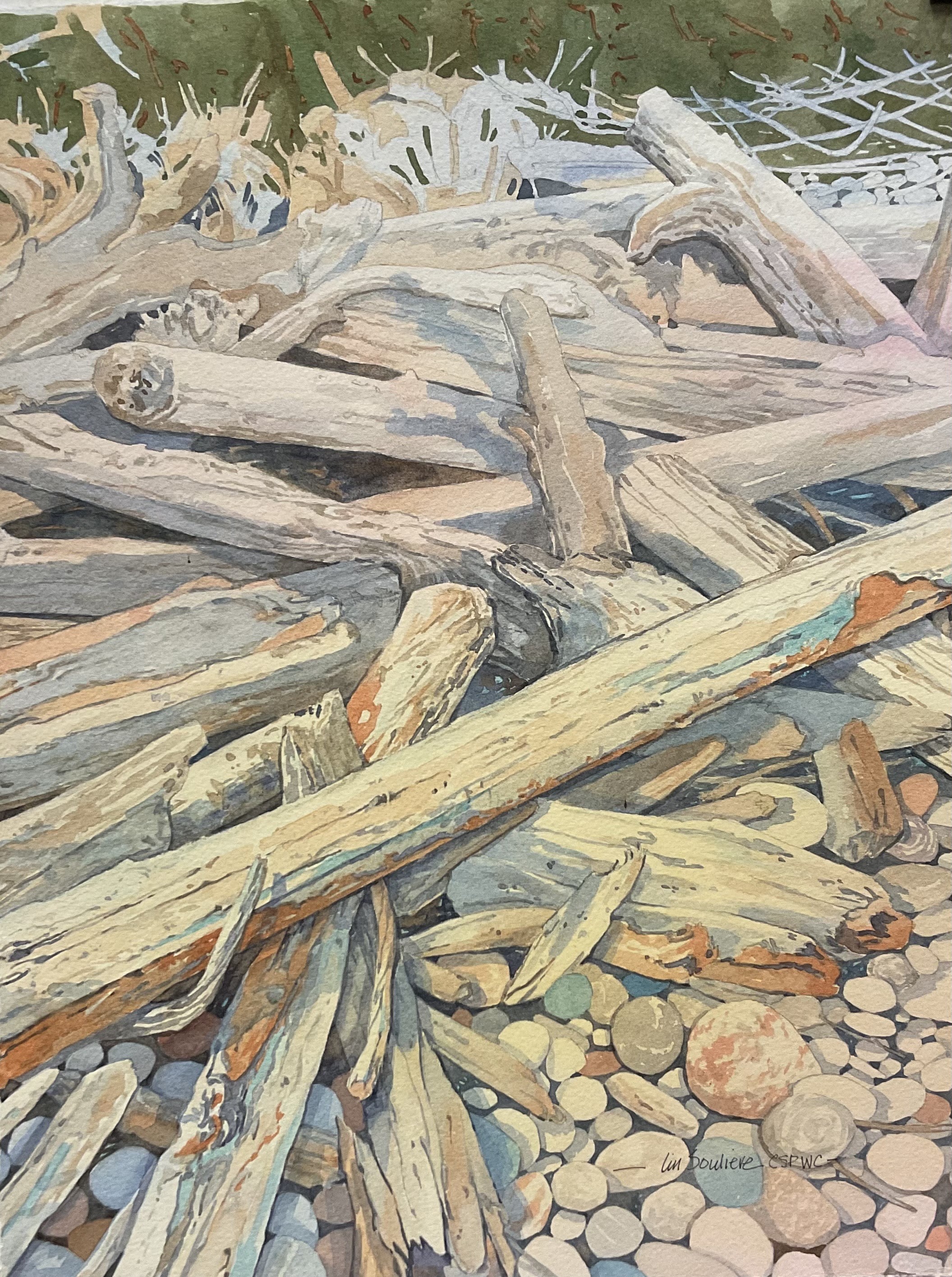 The survivor, aquarelle Image